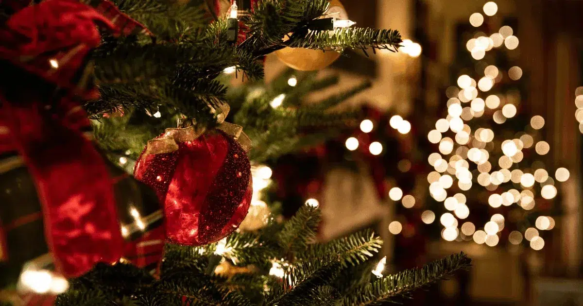 a christmas tree with lights and ornaments